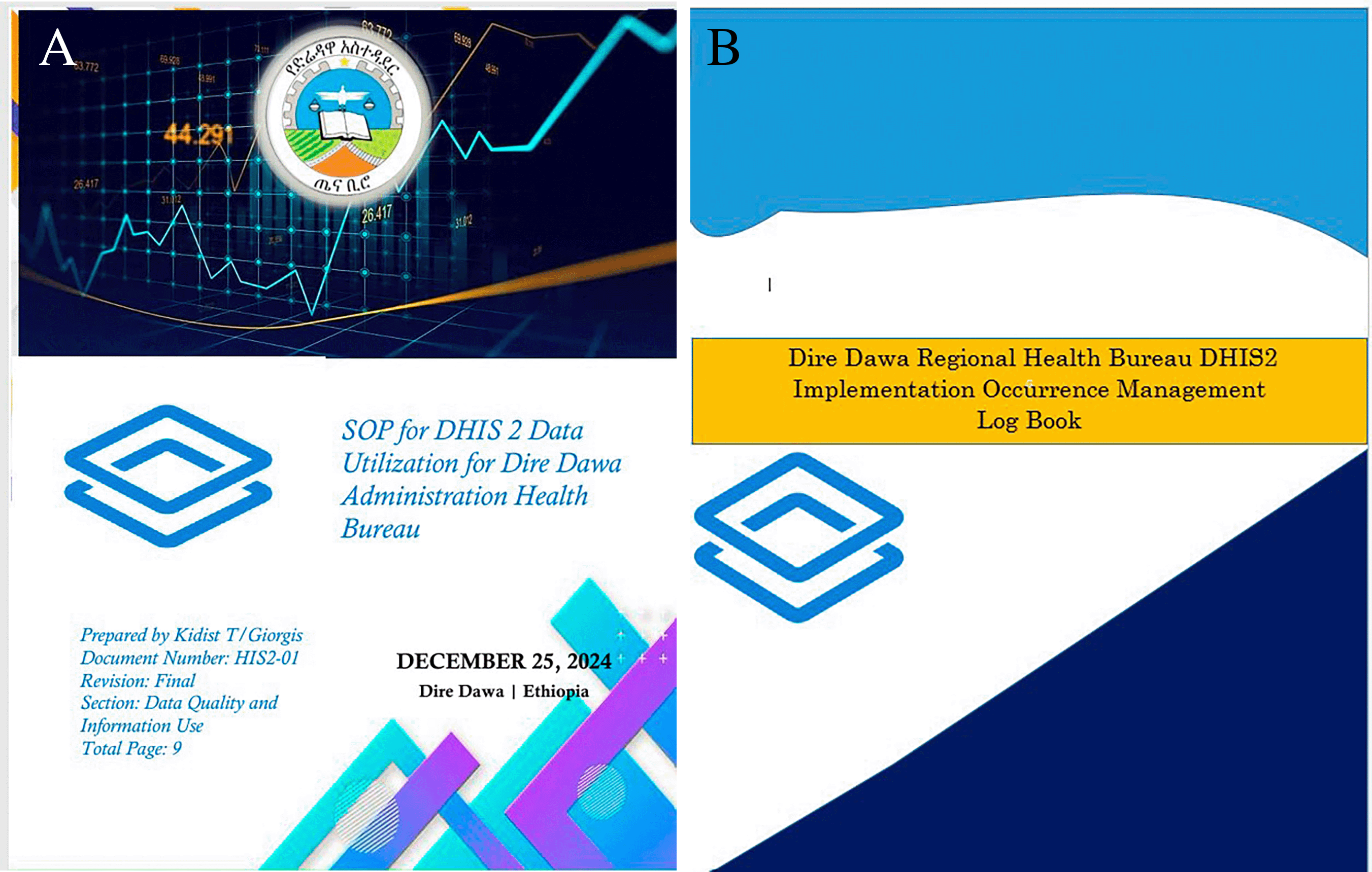 Enhancing DHIS2 Data Utilization for Evidence-Based... | VeriXiv
